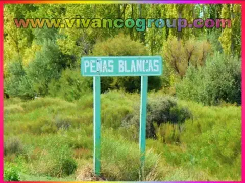 Campo en Venta de 350  ha