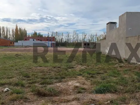 Terreno en Venta de 300,0 m2