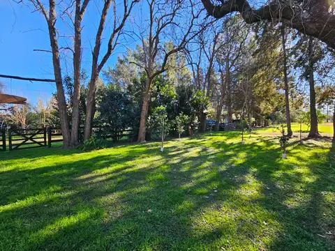 Chacra en venta en  Mercedes. Zona quintas