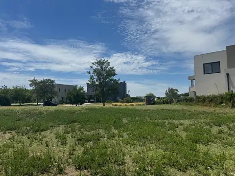 CANTON  NORTE UF 100