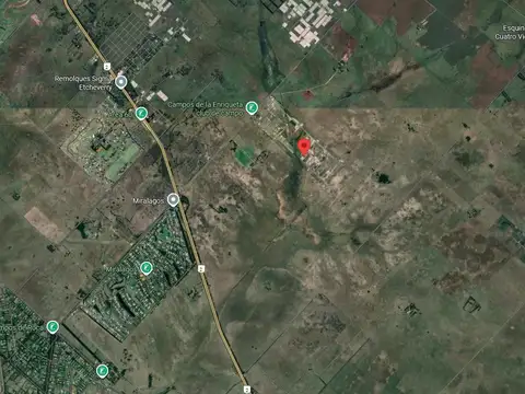 Campos de La Enriqueta