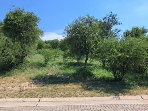 Hermoso Lote - Colinas de la Deseada