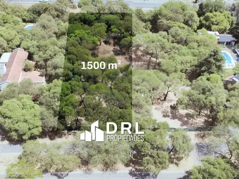 Lomas de La Carolina