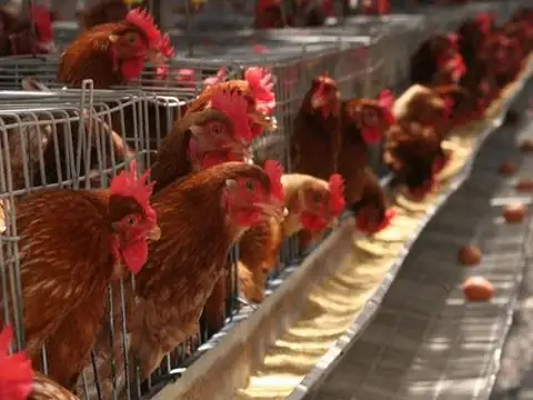 Campo en Venta de 30  ha