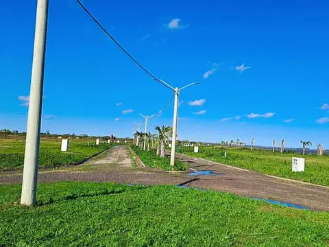TERRENO DE 629M² EN BARRIO NOGALES DEL PARANA