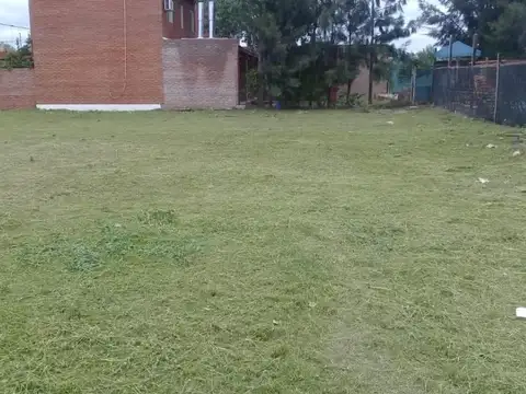 Leon Tolstoi Y Carcaraña