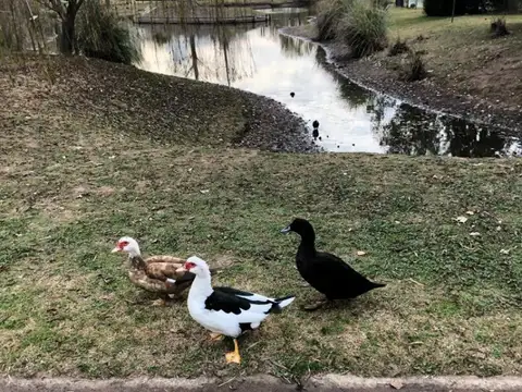 Terravista Fondo Laguna