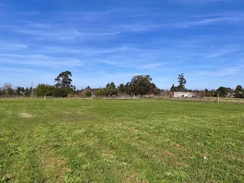 Venta  Chacra  Toledo 7 hectáreas