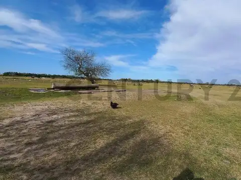 Campo en Venta de 5,20  ha