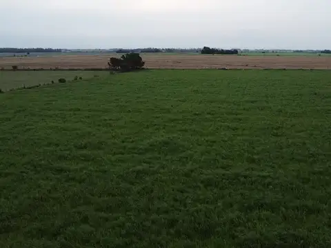 Terreno en Venta 211  mts Frente