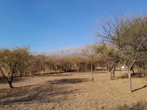 Terreno en Venta en Cruz De Caña, USD 23.000