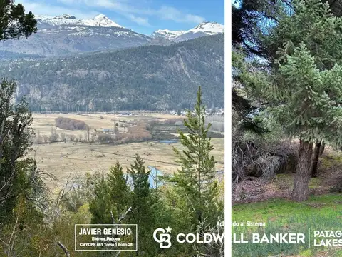 VENTA Lote/Terreno 1135,07 m2 Alihuen Alto Lote 43 San Martin de los Andes