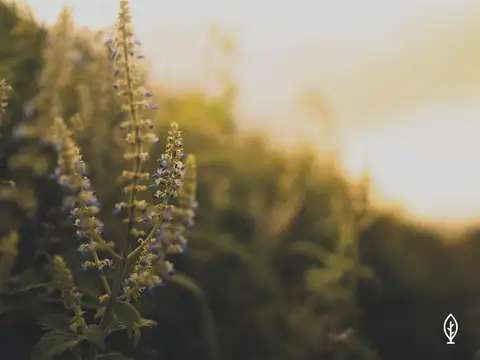 Terreno en Venta de 608,0 m2