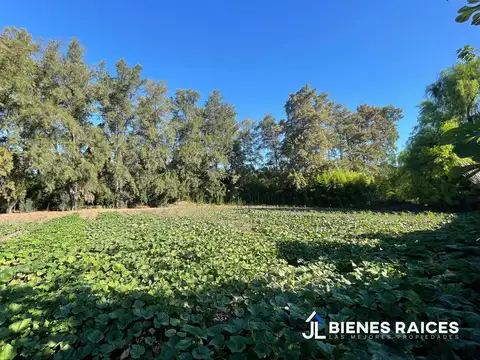 Terreno en Venta 50  mts Frente