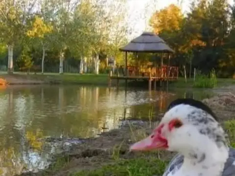 VENTA LOTE 440m2 PINARES DEL SUR - PIÑERO - SANTA FE