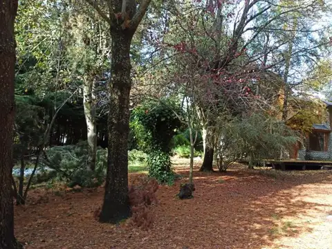 HERMOSA CABAÑA EN LOMAS DEL CORRENTOSO