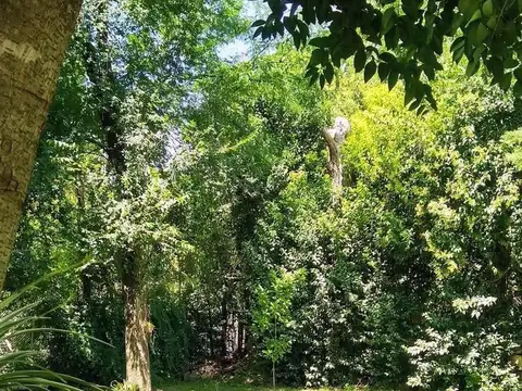 Andres Chazarreta 1300