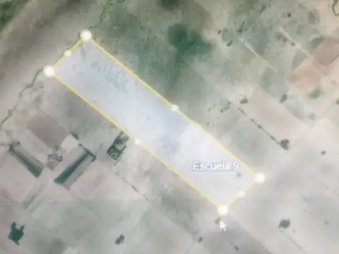 VENTA CAMPO 76 HA SAN NICOLAS