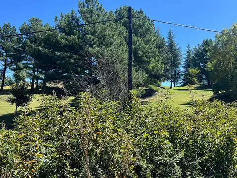 VENTA LOTE DE 1440 M2 VILLA YACANTO