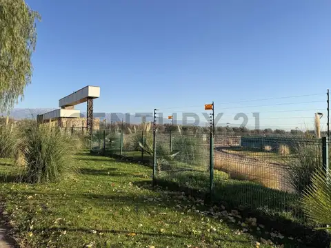 Bruno moron y vazquez , Piso 0