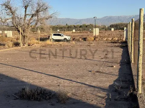 Bruno moron y vazquez , Piso 0