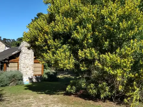 calle 42 entre miramar y san clemente