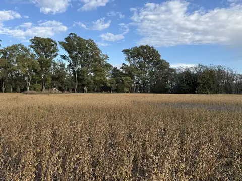 Campo en Venta de 25  ha