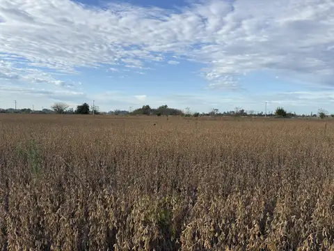 Campo en Venta Agricola