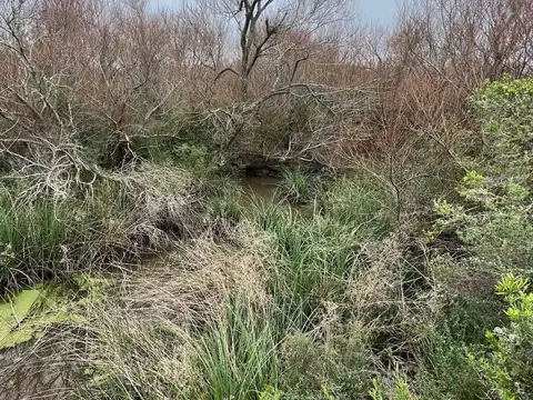Venta Campo 19 Has sobre arroyo Sarandí Costa Azul