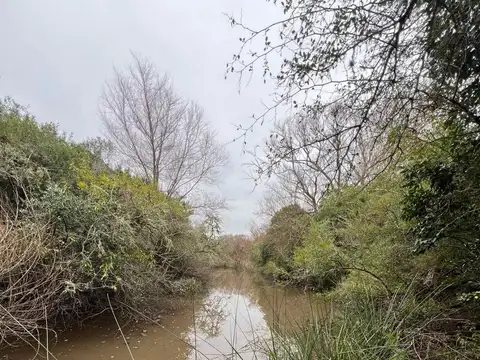 Venta Campo 19 Has sobre arroyo Sarandí Costa Azul