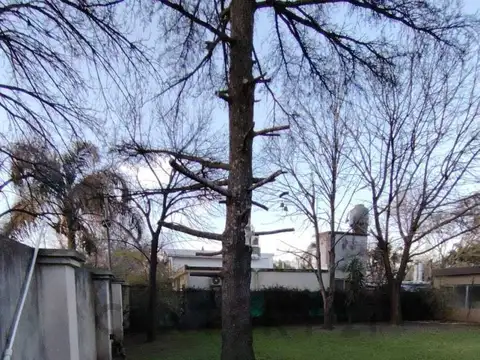 Oficina 10 ambientes con 3 baños