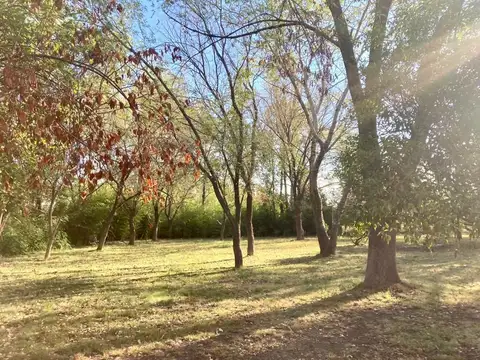 Terreno en Venta de 14456,0 m2