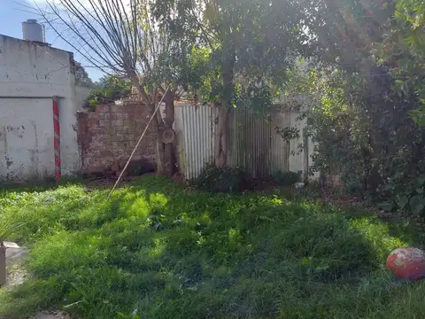 INMIGRANTES ARABES 300