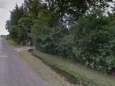 Terreno en Alquiler 98  mts Frente