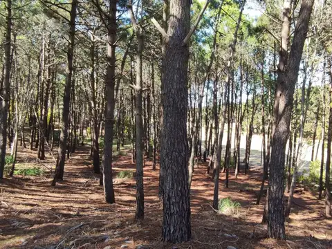 Terreno - Venta - Argentina, Pinamar
