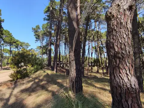 Terreno en Venta en Pinamar, USD 190.000