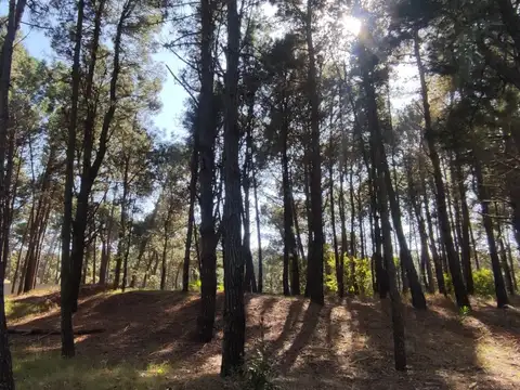 Terreno en Venta de 1736,0 m2