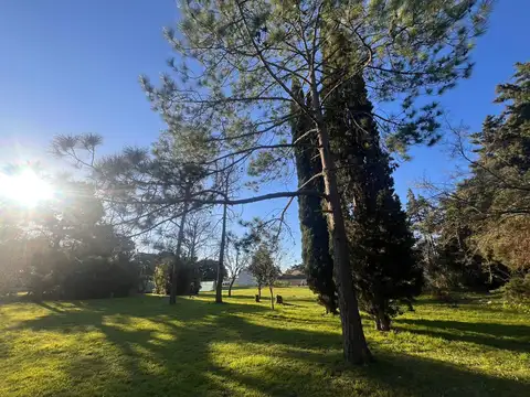 LOTE EN VENTA - 489 Y 138 J. GORINA - AMPLIA FINANCIACION -  330 M2