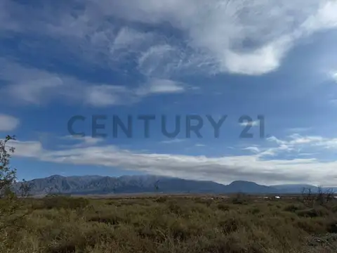 vertientes del pedemonte , Piso 0