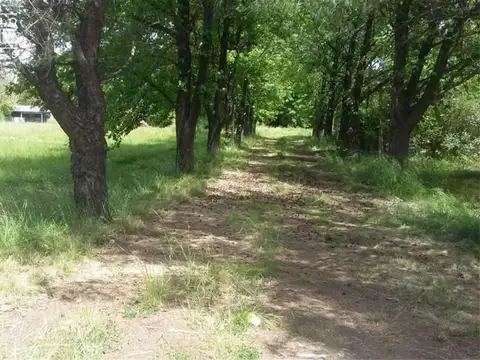 Ramal Pilar Ruta Nacional 8 Km 62, Fatima