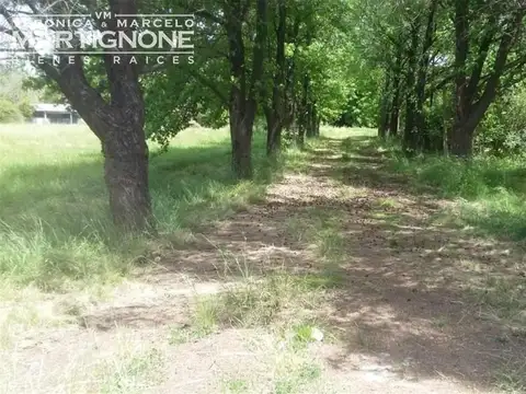 Fracción en Venta en Fátima Pilar