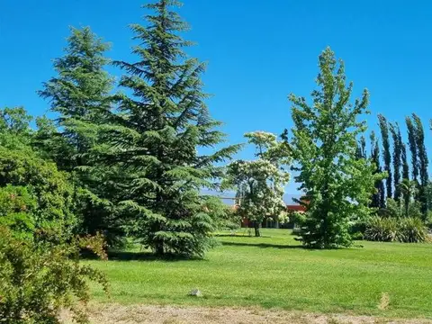 Casa en Venta 29 años