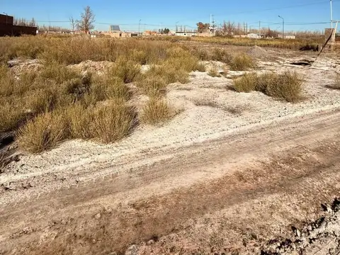 Joaquin Oses, Manzana 04, Lote 100