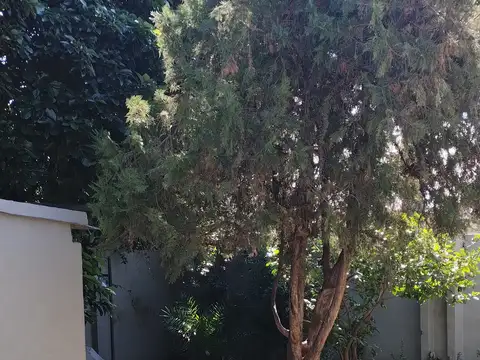 Depto Tipo Casa en Venta de 4 ambientes