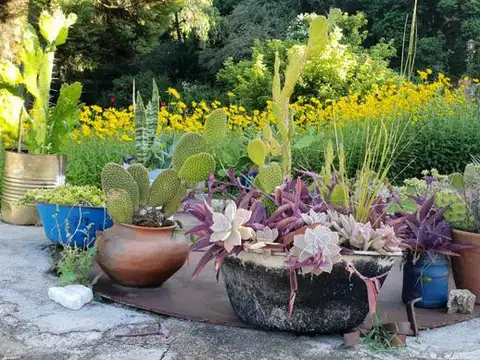 Hotel en Venta 85 años