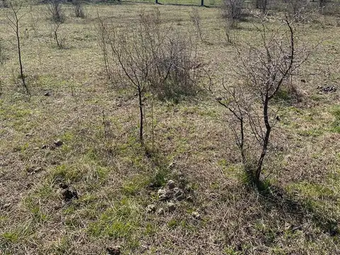 Terreno en Venta en La Granja, USD 25.000