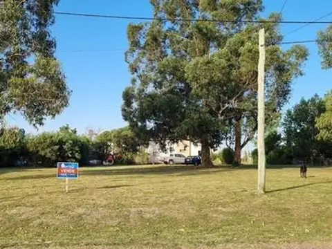 Avenida del Buen Orden 100