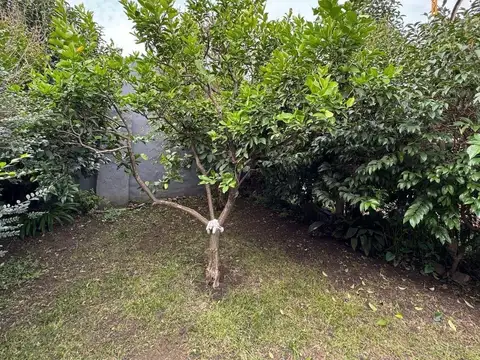 Casa en Venta al Sudoeste