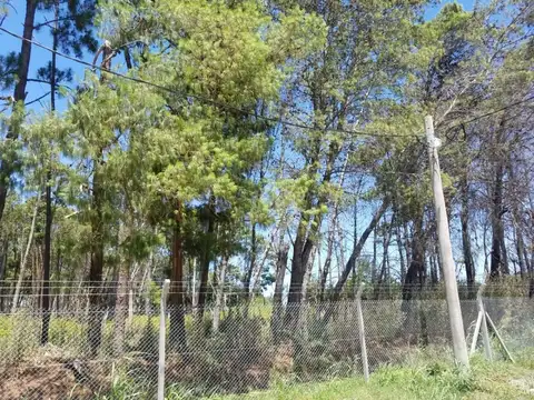 Terreno en Venta en Los Hornos, USD 13.000