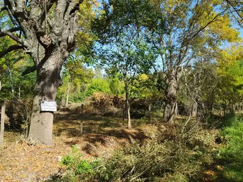 TERRENO EN OPORTUNIDAD EN LOMA VERDE 7030m2